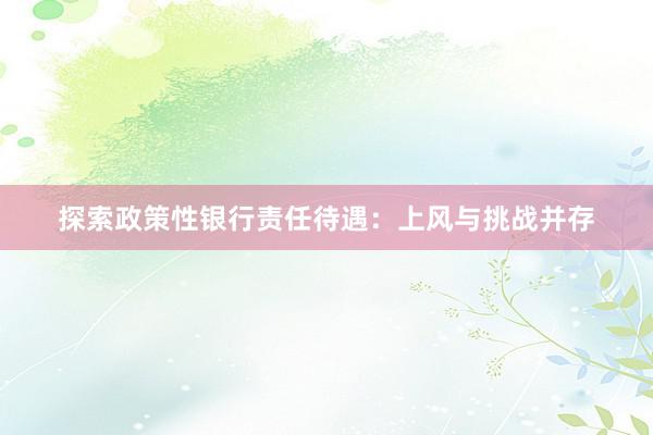 探索政策性银行责任待遇：上风与挑战并存