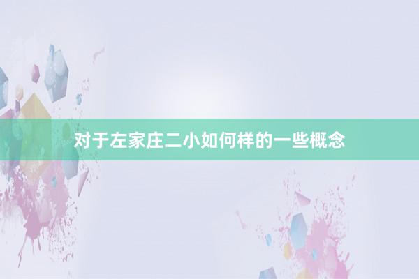对于左家庄二小如何样的一些概念
